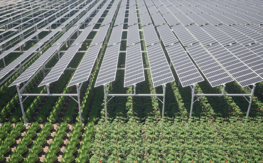 Agricultura/pecu&aacute;ria/pesca complementar com energia solar