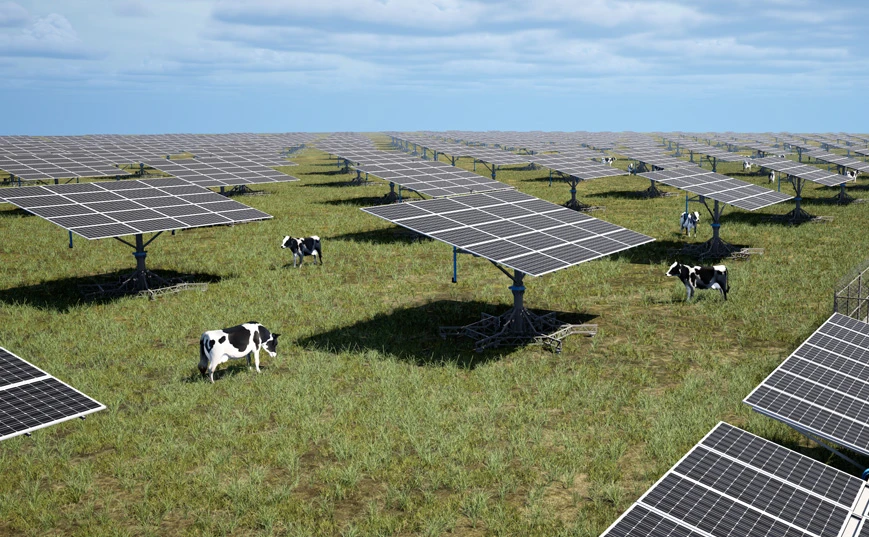Agricultura/pecu&aacute;ria/pesca complementar com energia solar